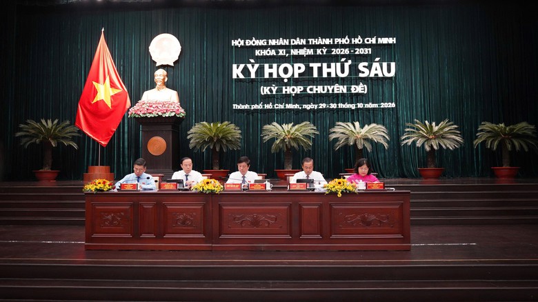 TP.HCM chi hơn 16 tỷ đồng mỗi năm hỗ trợ lao động đi làm việc ở nước ngoài- Ảnh 2.