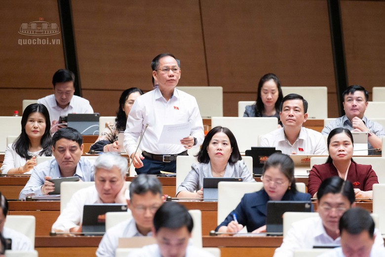 ĐBQH đề nghị hoàn thiện mã định danh điện tử, minh bạch thông tin bất động sản - Ảnh 2.
