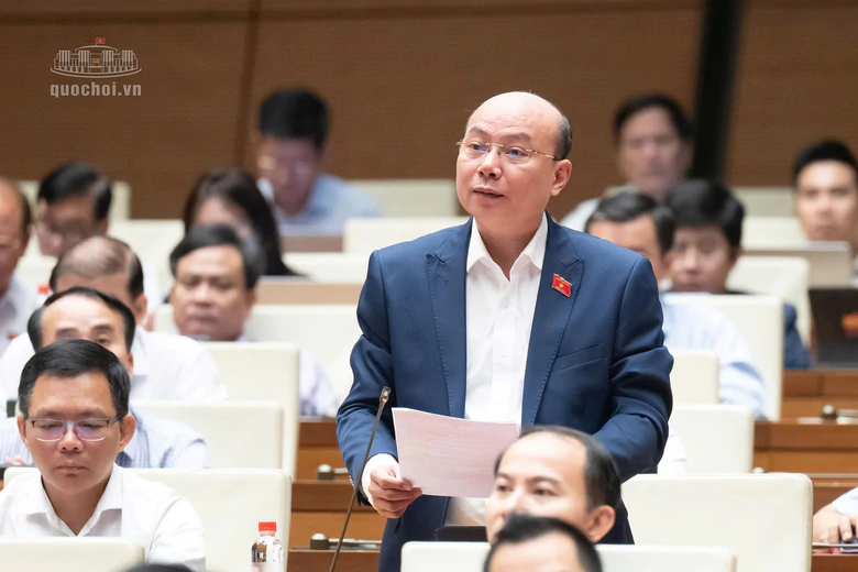 ĐBQH đề nghị hoàn thiện mã định danh điện tử, minh bạch thông tin bất động sản - Ảnh 3.