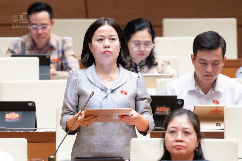 ĐBQH: Bổ sung quy định lấy ý kiến người dân về kế hoạch sử dụng đất cấp xã - Ảnh 1.