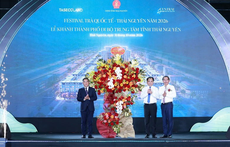 Thái Nguyên khánh thành phố đi bộ bên Quảng trường Võ Nguyên Giáp - Ảnh 2.