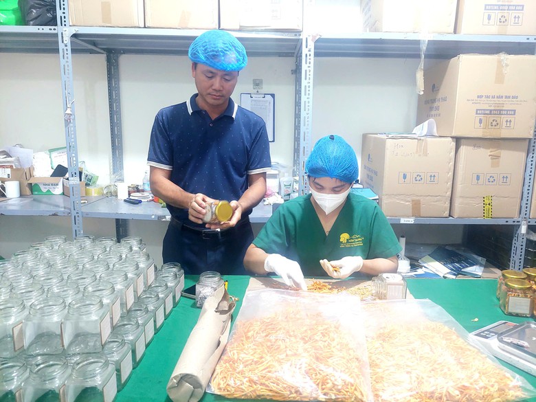 Phú Thọ: Khoa học công nghệ nâng giá trị nông sản, tăng thu nhập cho nông dân - Ảnh 2.
