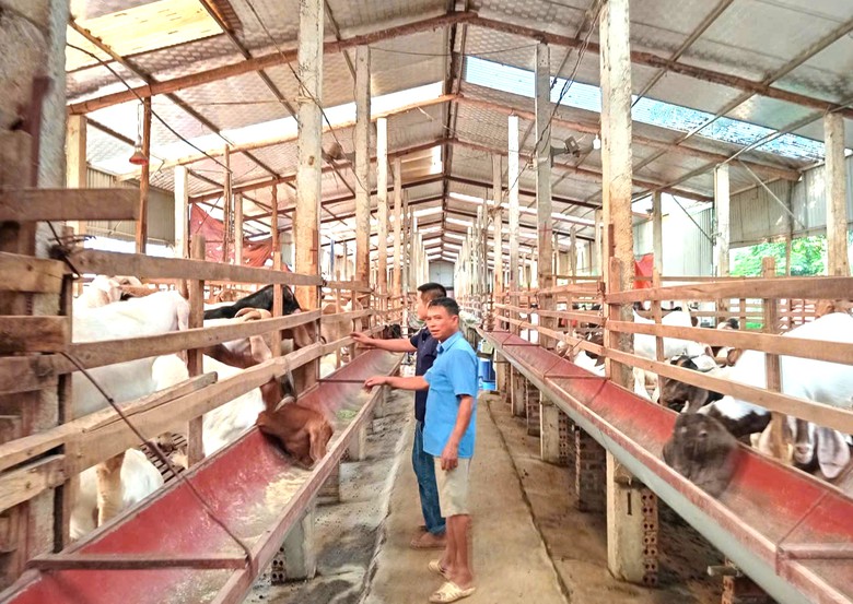 Phú Thọ: Khoa học công nghệ nâng giá trị nông sản, tăng thu nhập cho nông dân - Ảnh 4.