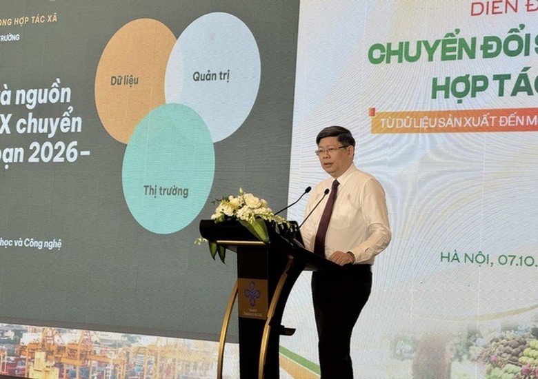 Dữ liệu sạch - “tấm hộ chiếu” mở rộng thị trường cho hợp tác xã- Ảnh 2.