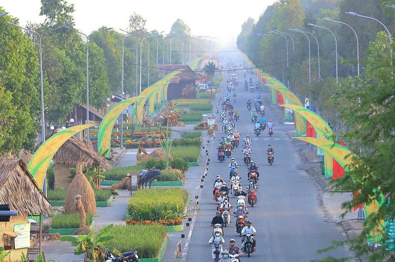 Cần Thơ tổ chức Festival Quốc tế Ngành hàng Lúa gạo lần thứ II- Ảnh 2.
