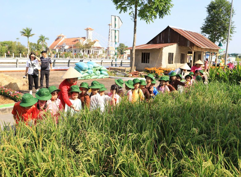 Cần Thơ tổ chức Festival Quốc tế Ngành hàng Lúa gạo lần thứ II- Ảnh 4.