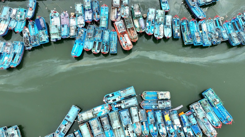 "Lộc biển" đầu năm, t&agrave;u c&aacute; Gia Lai nối nhau b&aacute;m ngư trường cận Tết- Ảnh 5.