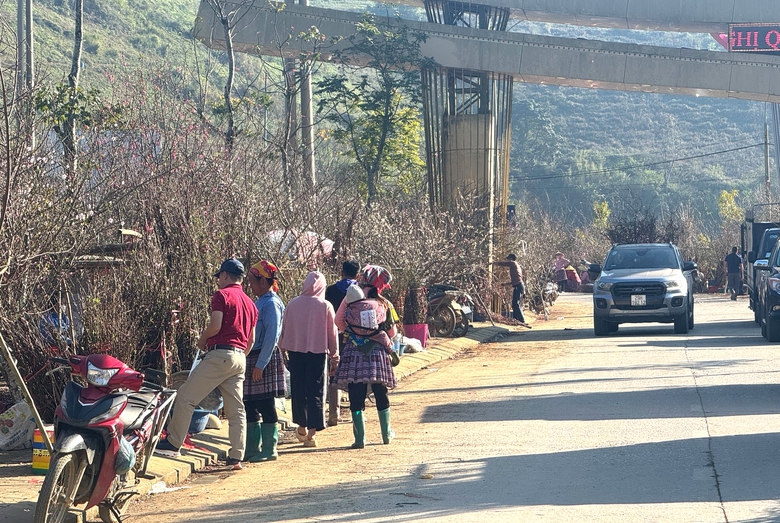 Đ&agrave;o, mận trắng v&ugrave;ng cao Sơn La tấp nập xuống phố- Ảnh 16.