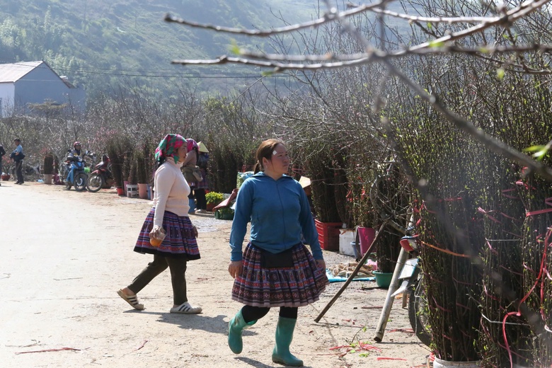 Đ&agrave;o, mận trắng v&ugrave;ng cao Sơn La tấp nập xuống phố- Ảnh 11.