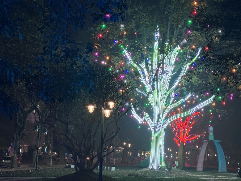 Tuyên Quang chỉnh trang đô thị đón Xuân 2026- Ảnh 6. Tuyên Quang chỉnh trang đô thị đón Xuân 2026- Ảnh 6.