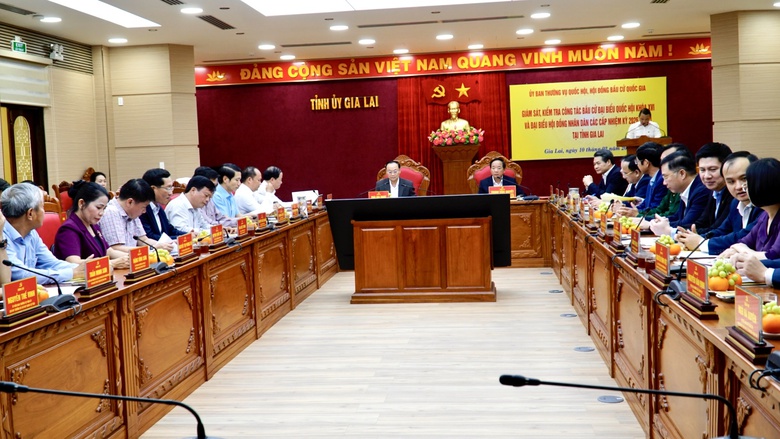 Gia Lai: Đẩy mạnh chuyển đổi số, bảo đảm quyền bầu cử của mọi c&ocirc;ng d&acirc;n- Ảnh 2.