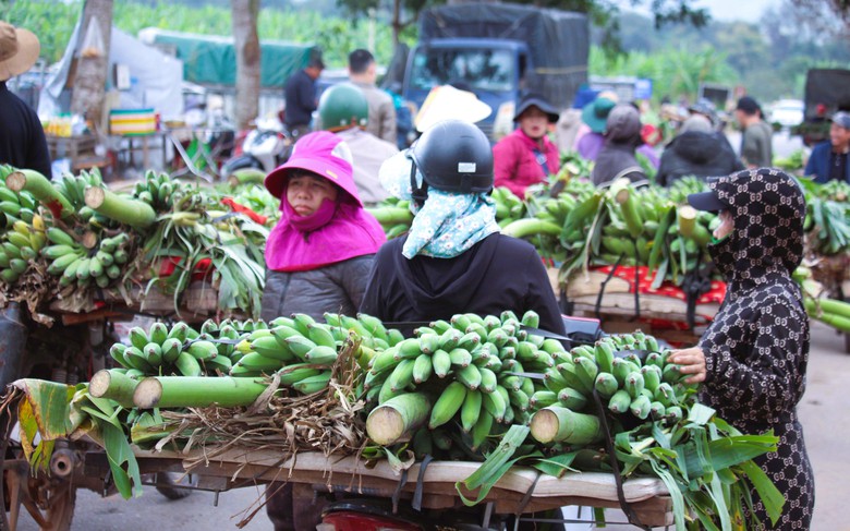 Nhộn nhịp chợ chuối lớn nhất miền Trung cận Tết, kh&ocirc;ng b&aacute;n lẻ từng buồng- Ảnh 9.