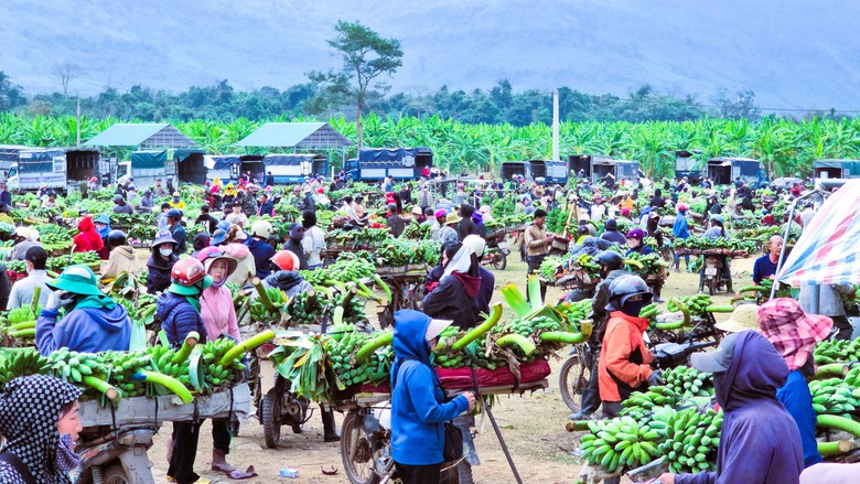 Nhộn nhịp chợ chuối lớn nhất miền Trung cận Tết, kh&ocirc;ng b&aacute;n lẻ từng buồng- Ảnh 2.