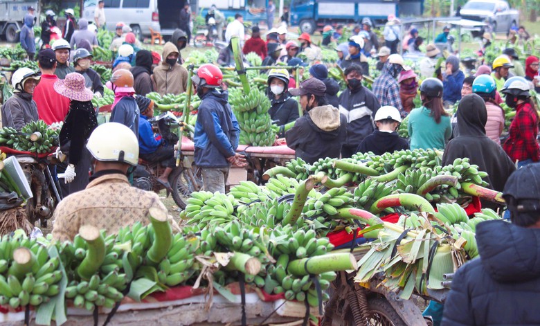 Nhộn nhịp chợ chuối lớn nhất miền Trung cận Tết, kh&ocirc;ng b&aacute;n lẻ từng buồng- Ảnh 5.