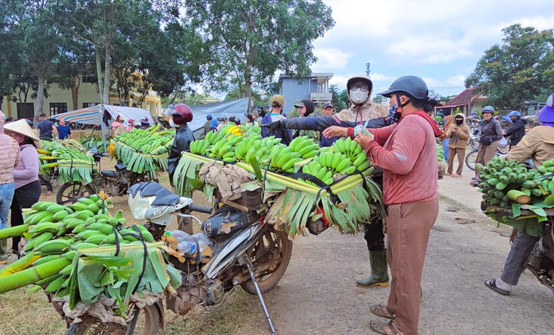 Nhộn nhịp chợ chuối lớn nhất miền Trung cận Tết, kh&ocirc;ng b&aacute;n lẻ từng buồng- Ảnh 7.