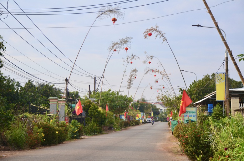 Giữ hồn qu&ecirc; với con đường n&ecirc;u rực rỡ đ&oacute;n Tết giữa v&ugrave;ng đất c&ocirc;ng nghiệp Đồng Nai- Ảnh 13.