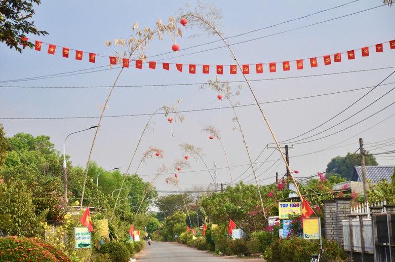 Giữ hồn qu&ecirc; với con đường n&ecirc;u rực rỡ đ&oacute;n Tết giữa v&ugrave;ng đất c&ocirc;ng nghiệp Đồng Nai- Ảnh 1.