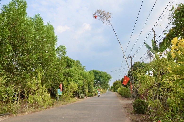 Giữ hồn qu&ecirc; với con đường n&ecirc;u rực rỡ đ&oacute;n Tết giữa v&ugrave;ng đất c&ocirc;ng nghiệp Đồng Nai- Ảnh 4.