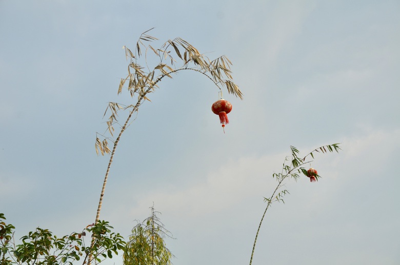 Giữ hồn qu&ecirc; với con đường n&ecirc;u rực rỡ đ&oacute;n Tết giữa v&ugrave;ng đất c&ocirc;ng nghiệp Đồng Nai- Ảnh 12.