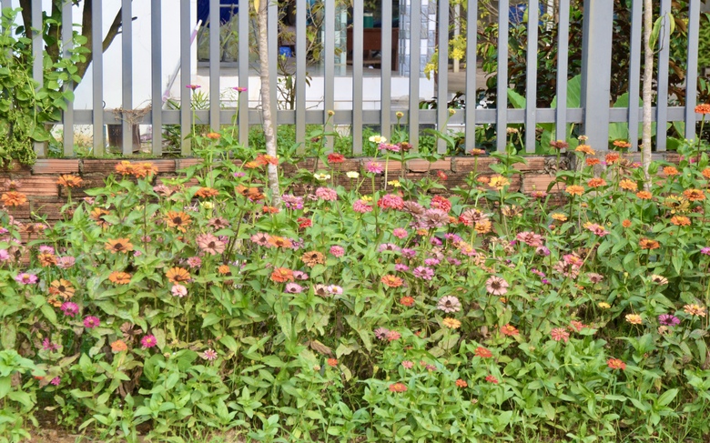 Giữ hồn qu&ecirc; với con đường n&ecirc;u rực rỡ đ&oacute;n Tết giữa v&ugrave;ng đất c&ocirc;ng nghiệp Đồng Nai- Ảnh 7.