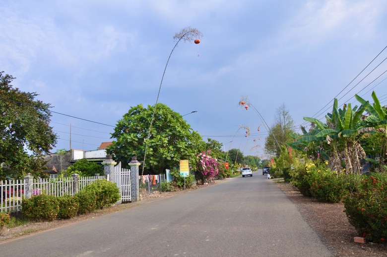 Giữ hồn qu&ecirc; với con đường n&ecirc;u rực rỡ đ&oacute;n Tết giữa v&ugrave;ng đất c&ocirc;ng nghiệp Đồng Nai- Ảnh 5.