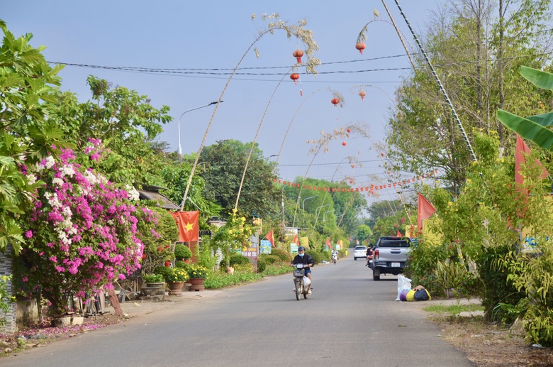 Giữ hồn qu&ecirc; với con đường n&ecirc;u rực rỡ đ&oacute;n Tết giữa v&ugrave;ng đất c&ocirc;ng nghiệp Đồng Nai- Ảnh 3.