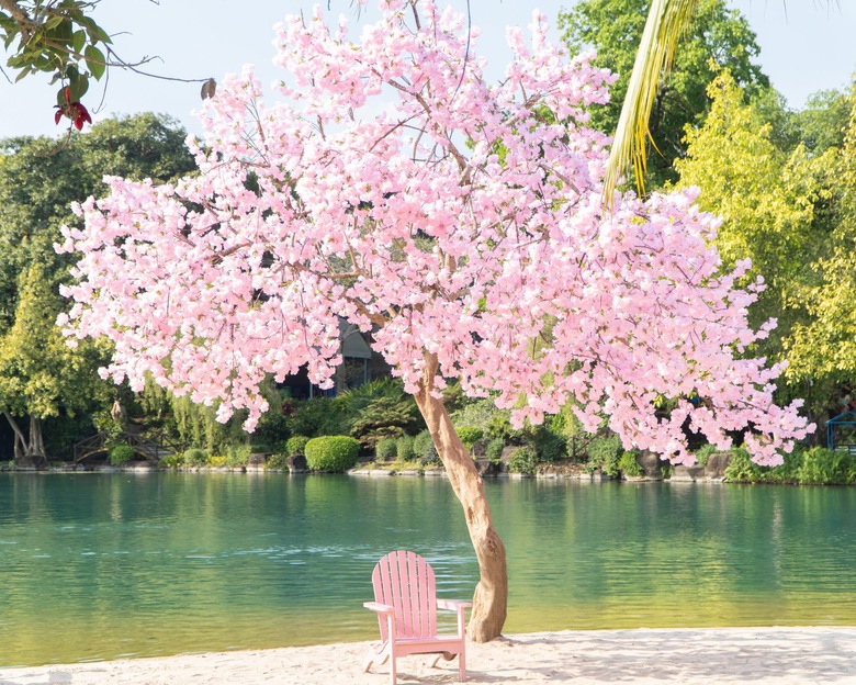 Du lịch gần thi&ecirc;n nhi&ecirc;n &ldquo;l&ecirc;n ng&ocirc;i&rdquo;, lưu tr&uacute; Đ&ocirc;ng Nam Bộ k&iacute;n kh&aacute;ch dịp tết B&iacute;nh Ngọ 2026- Ảnh 3.