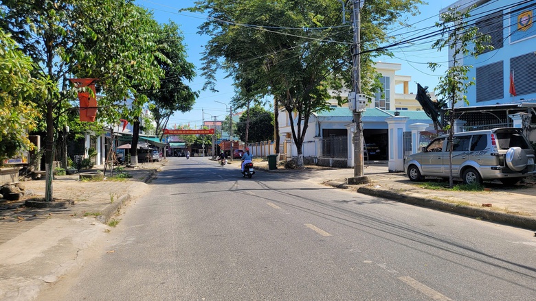 Quảng Ng&atilde;i: Cấp x&atilde; cấp giấy ph&eacute;p chặt hạ, dịch chuyển c&acirc;y xanh- Ảnh 1.