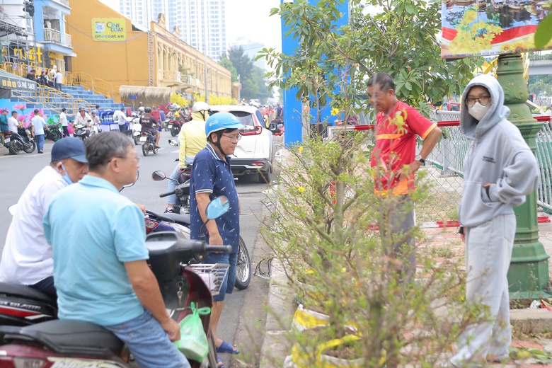 TP.HCM: Hoa Tết b&igrave;nh d&acirc;n &ldquo;ch&aacute;y h&agrave;ng&rdquo;, mai mini v&agrave;i chục ngh&igrave;n đồng h&uacute;t kh&aacute;ch- Ảnh 1.