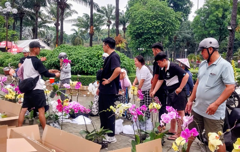 TP.HCM: Hoa Tết b&igrave;nh d&acirc;n &ldquo;ch&aacute;y h&agrave;ng&rdquo;, mai mini v&agrave;i chục ngh&igrave;n đồng h&uacute;t kh&aacute;ch- Ảnh 2.