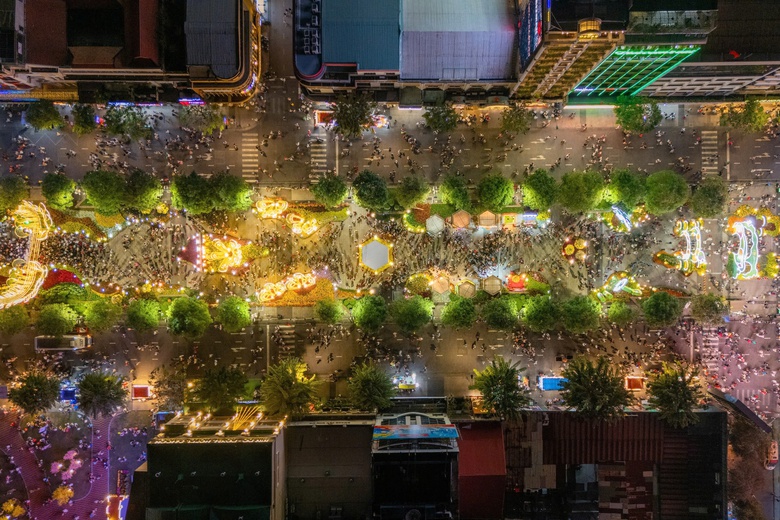 TP.HCM: Đường hoa Nguyễn Huệ thu h&uacute;t h&agrave;ng ng&agrave;n người tham quan thời khắc mở cửa- Ảnh 12.