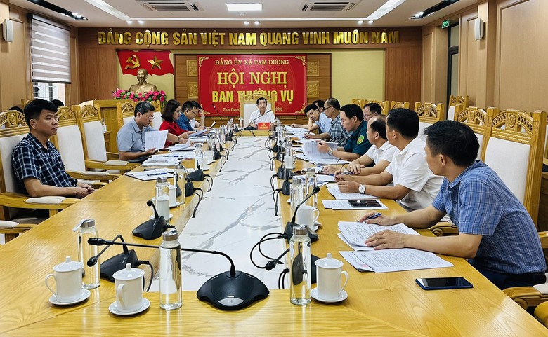 Ph&uacute; Thọ: X&atilde; Tam Dương x&acirc;y dựng Đảng vững mạnh, th&uacute;c đẩy ph&aacute;t triển to&agrave;n diện, bền vững- Ảnh 2.