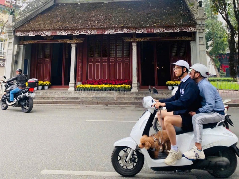 Hà Nội vắng vẻ, bình yên sáng mùng 1 Tết Bính Ngọ- Ảnh 13. Hà Nội vắng vẻ, bình yên sáng mùng 1 Tết Bính Ngọ- Ảnh 13.