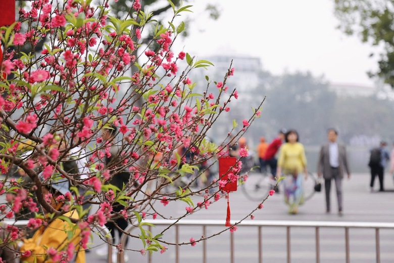 Hà Nội vắng vẻ, bình yên sáng mùng 1 Tết Bính Ngọ- Ảnh 11. Hà Nội vắng vẻ, bình yên sáng mùng 1 Tết Bính Ngọ- Ảnh 11.