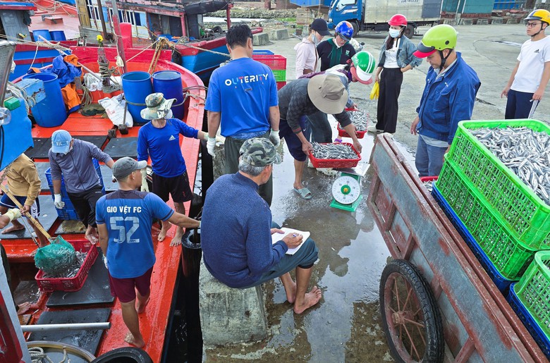 Ngư d&acirc;n Quảng Trị vươn khơi, khoang t&agrave;u đầy ắp &ldquo;lộc&rdquo; biển đầu năm- Ảnh 10.