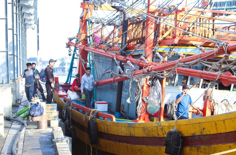 Ngư d&acirc;n Quảng Trị vươn khơi, khoang t&agrave;u đầy ắp &ldquo;lộc&rdquo; biển đầu năm- Ảnh 3.