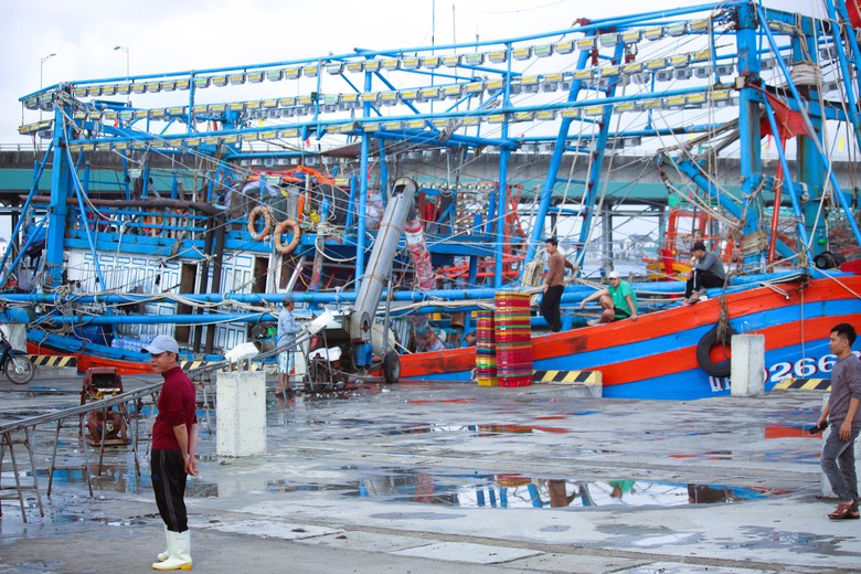 Ngư d&acirc;n Quảng Trị vươn khơi, khoang t&agrave;u đầy ắp &ldquo;lộc&rdquo; biển đầu năm- Ảnh 4.