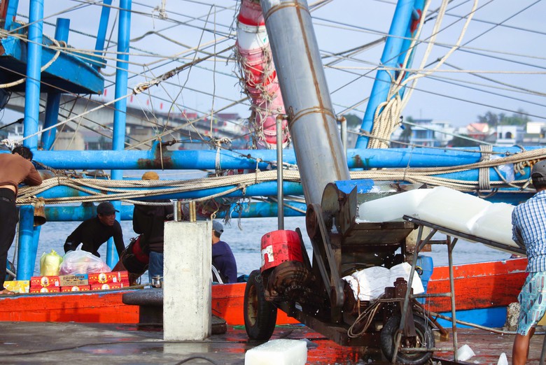 Ngư d&acirc;n Quảng Trị vươn khơi, khoang t&agrave;u đầy ắp &ldquo;lộc&rdquo; biển đầu năm- Ảnh 6.