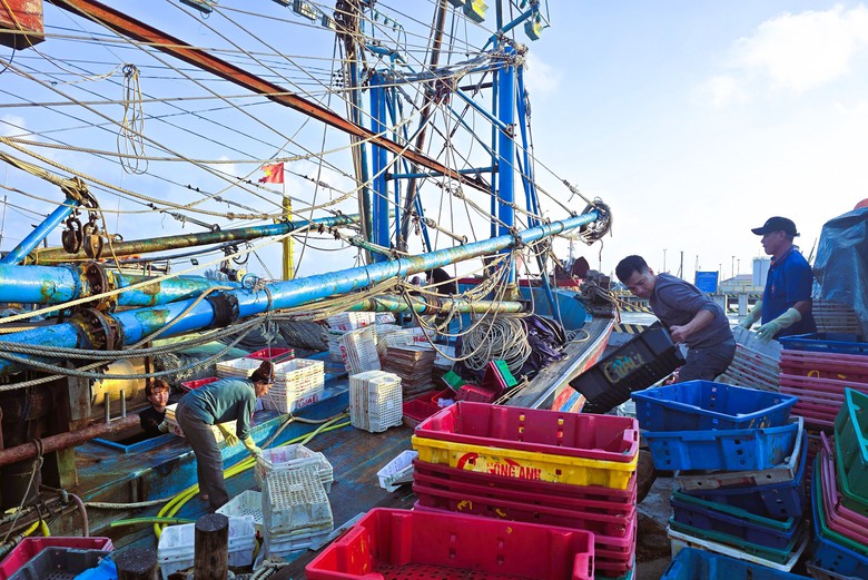 Ngư d&acirc;n Quảng Trị vươn khơi, khoang t&agrave;u đầy ắp &ldquo;lộc&rdquo; biển đầu năm- Ảnh 7.