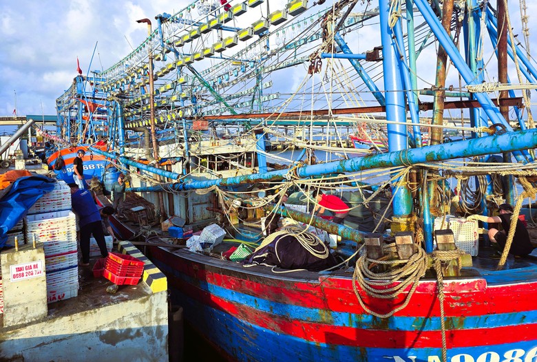 Ngư d&acirc;n Quảng Trị vươn khơi, khoang t&agrave;u đầy ắp &ldquo;lộc&rdquo; biển đầu năm- Ảnh 8.