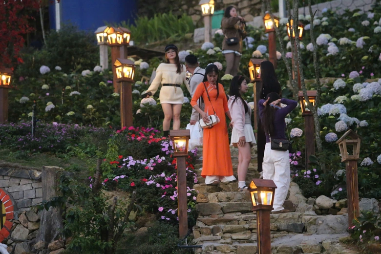 Tam Đảo h&uacute;t kh&aacute;ch ng&agrave;y đầu năm mới B&iacute;nh Ngọ 2026- Ảnh 11.