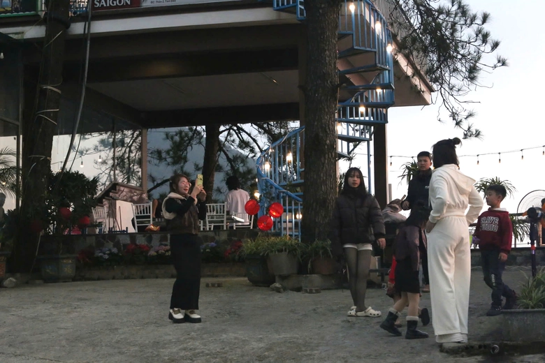 Tam Đảo h&uacute;t kh&aacute;ch ng&agrave;y đầu năm mới B&iacute;nh Ngọ 2026- Ảnh 12.