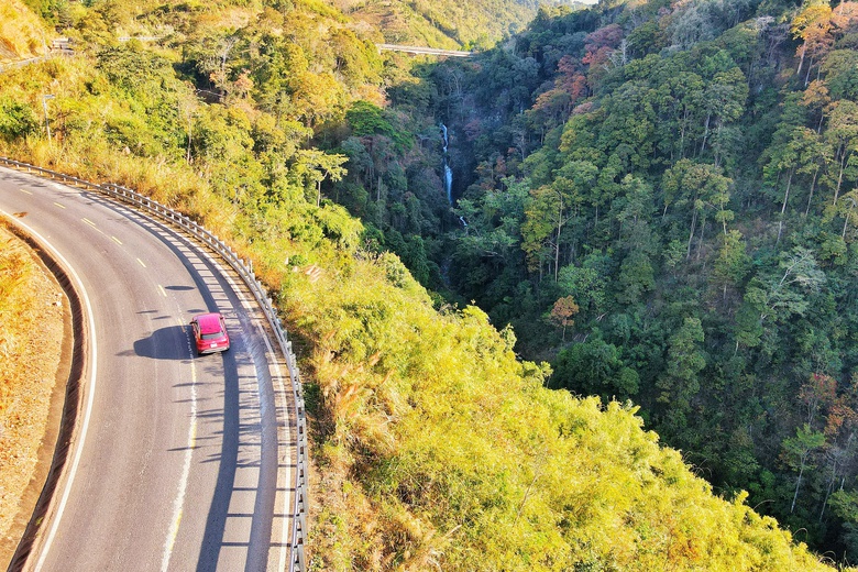 Độc đ&aacute;o t&aacute;n l&aacute; rừng gi&agrave; đường l&ecirc;n Măng Đen đổi m&agrave;u sang xu&acirc;n- Ảnh 8.