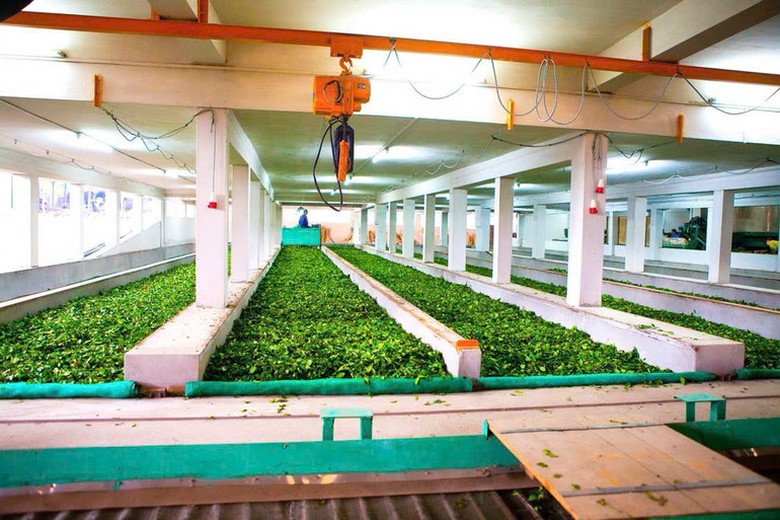 Từ kiểm so&aacute;t rủi ro đến kiến tạo năng suất trong chuỗi thực phẩm- Ảnh 1.