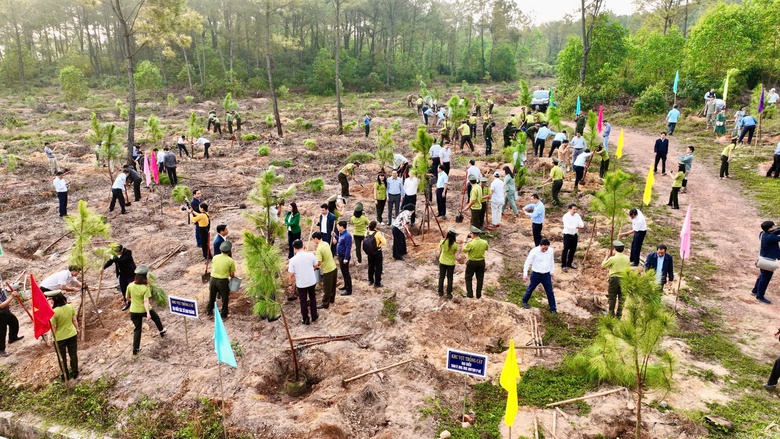 Phát động trồng hàng triệu cây xanh cải thiện môi trường tại Khánh Hòa và TP Huế- Ảnh 3. Phát động trồng hàng triệu cây xanh cải thiện môi trường tại Khánh Hòa và TP Huế- Ảnh 3.