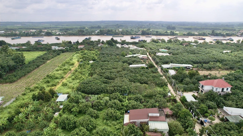 Đồng Nai tăng tốc x&acirc;y dựng n&ocirc;ng th&ocirc;n mới, năm 2026 phấn đấu th&ecirc;m 5 x&atilde; đạt chuẩn- Ảnh 1.