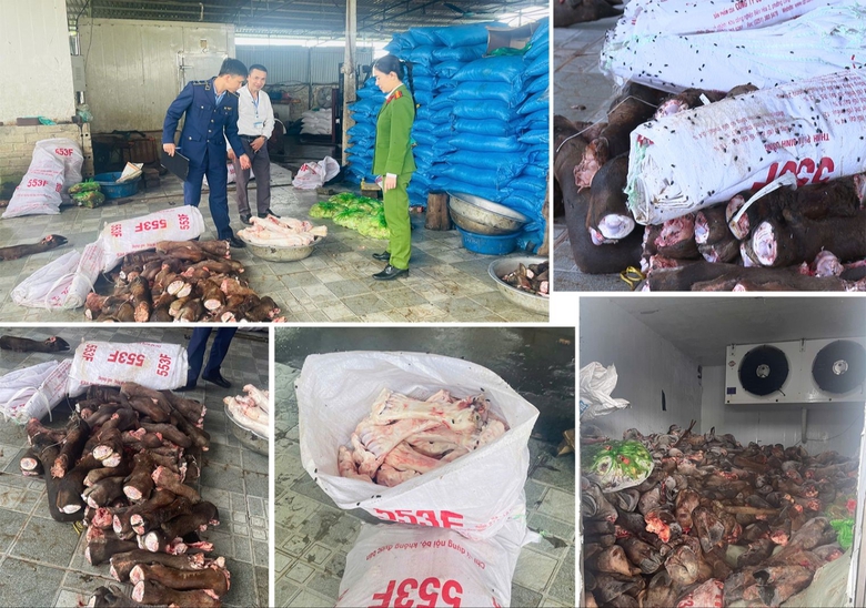 Thu giữ gần 6 tấn thực phẩm kh&ocirc;ng r&otilde; nguồn gốc ở Thanh Ho&aacute;- Ảnh 1.