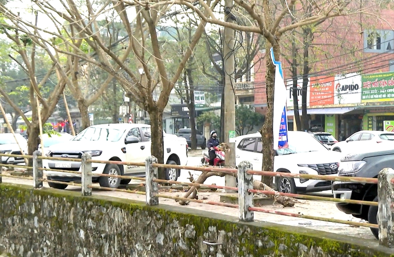 Nghệ An sẽ xử l&yacute; nghi&ecirc;m vi phạm chiếm dụng vỉa h&egrave; l&agrave;m nơi đỗ xe- Ảnh 1.