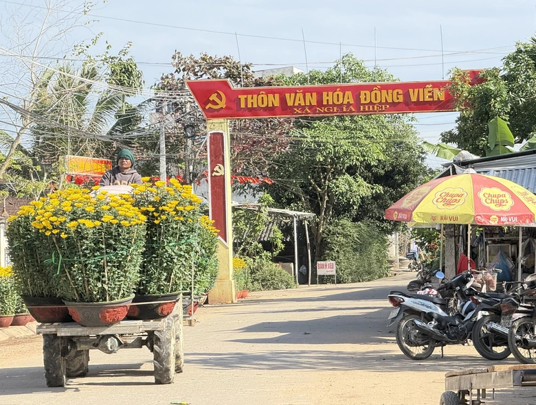 Cận cảnh làng hoa cúc lớn nhất miền Trung rộn ràng ngày cận Tết- Ảnh 6. Cận cảnh làng hoa cúc lớn nhất miền Trung rộn ràng ngày cận Tết- Ảnh 6.