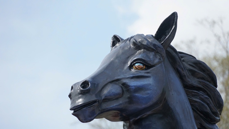 Ngắm linh vật bát mã nay, nhớ về hào khí Tây Sơn tam kiệt năm xưa- Ảnh 4. Ngắm linh vật bát mã nay, nhớ về hào khí Tây Sơn tam kiệt năm xưa- Ảnh 4.